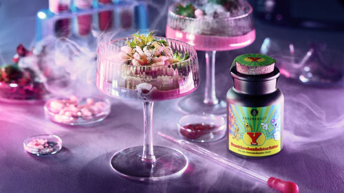 Rezept Shrimp Cocktail mit Urzeitkrebszüchterfutter