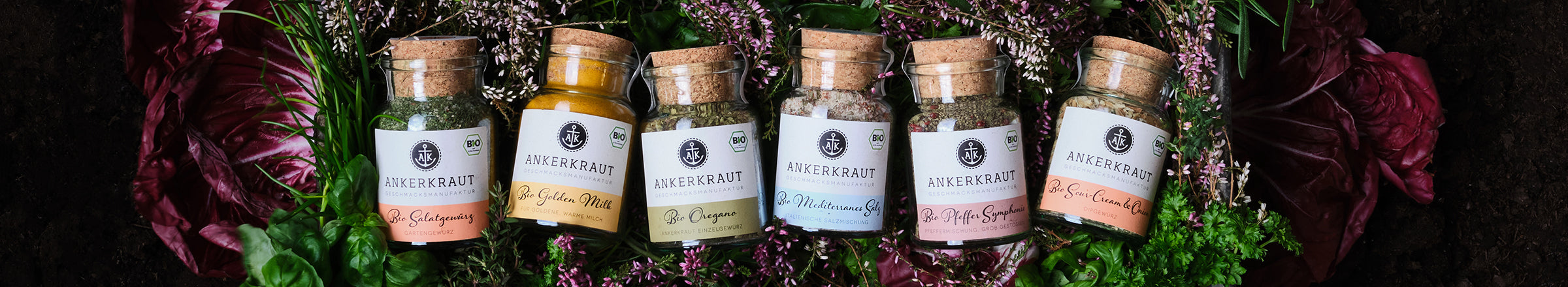 Ankerkraut Korkengläser mit BIO Gewürzen nebeneinander aufgereiht, auf einem Bett aus frischen Kräutern.
