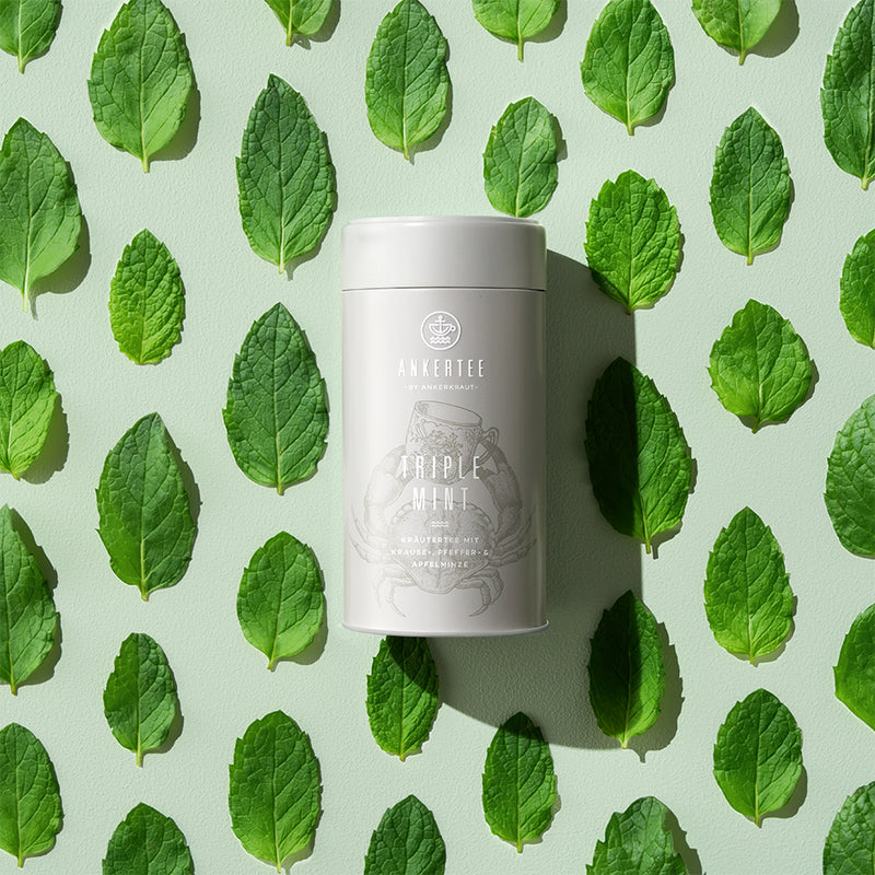 Triple Mint Kräutertee